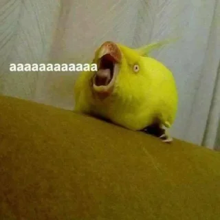 Стикер 3de ebalde - 5