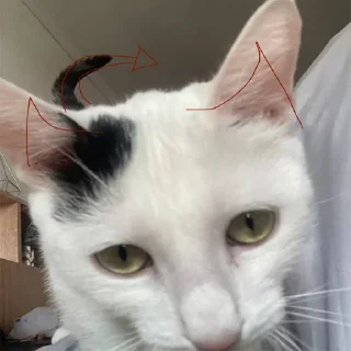 Стикер женская энергия - 9