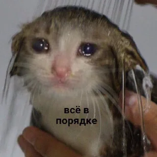 Sticker помойкаебаная - 6