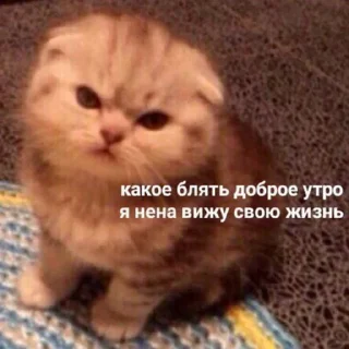 Sticker помойкаебаная - 2