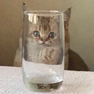 Sticker помойкаебаная - 4