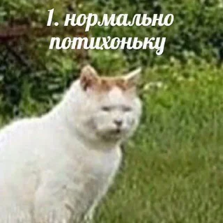 Sticker помойкаебаная - 0