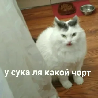 Sticker помойкаебаная - 1