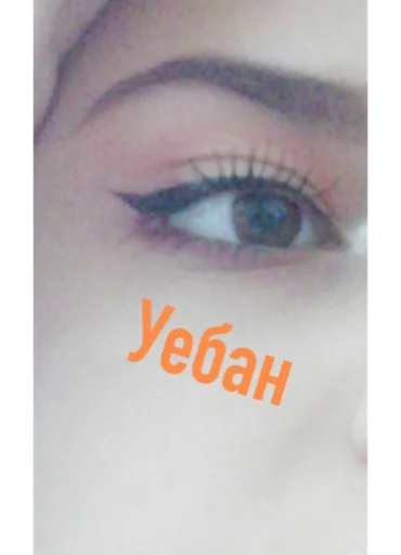 eyelash closeup organ