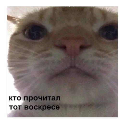 Sticker ebasosinaotsnuwix - 6