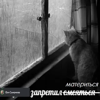 Sticker чикпарирум - 6