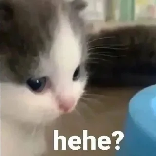 Sticker чикпарирум - 2