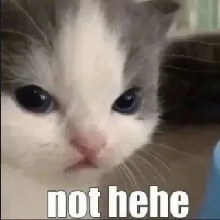 Sticker чикпарирум - 7