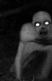 Стикер Милашки @stickers_teleg_telegramstickeri - 8