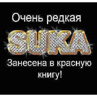 Sticker what’sthefuchisthatevensupposetomean - 8