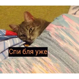 Sticker what’sthefuchisthatevensupposetomean - 11