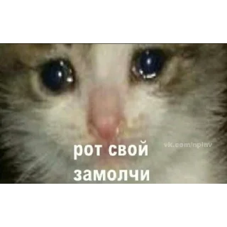 Sticker what’sthefuchisthatevensupposetomean - 6