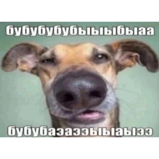 Sticker ebe803a3_f3a9_423c_bb54_c6cb6daeed5d_by_sticat_bot - 1