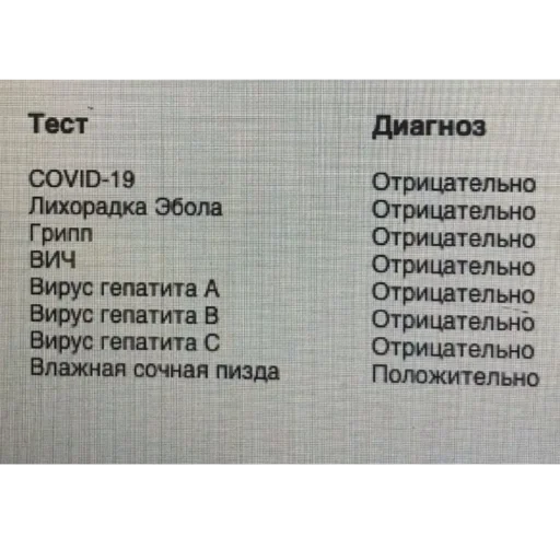 Sticker ebe803a3_f3a9_423c_bb54_c6cb6daeed5d_by_sticat_bot - 1