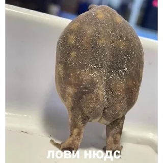 Sticker ebanina Bogdana - 8