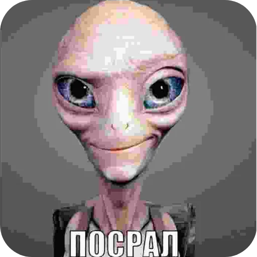 Стикер eblanpackreborn_by_TgEmojis_bot - 1