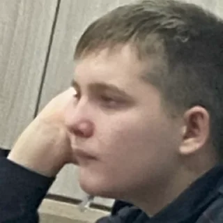 Sticker пингвины - 7