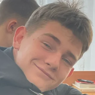 Sticker пингвины - 5