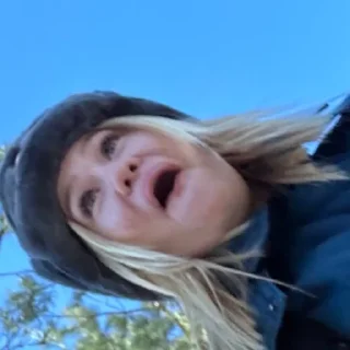 Sticker пингвины - 11