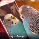 Стикер eblo_ x2 - 5