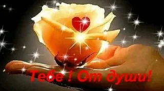 Стикер новикова анна - 8