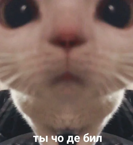 Еболыги by @babyfleks @GandalfPink - 