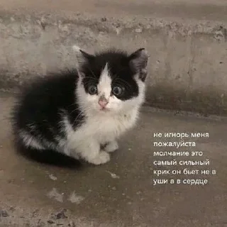 Sticker babyfleks - 0