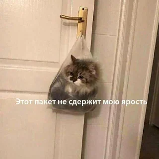 Sticker Еболыги by @babyfleks @GandalfPink - 4