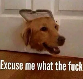 Sticker babyfleks - 8