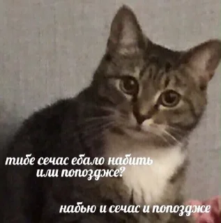 Sticker Еболыги by @babyfleks @GandalfPink - 10