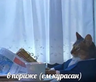 Sticker babyfleks - 2