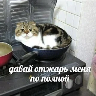 Sticker babyfleks - 9