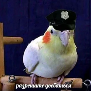 Sticker Еболыги by @babyfleks @GandalfPink - 0