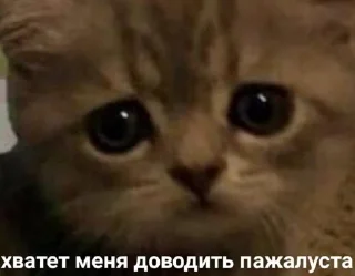 Sticker babyfleks - 1