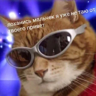 Sticker babyfleks - 5