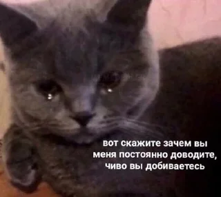 Sticker babyfleks - 3