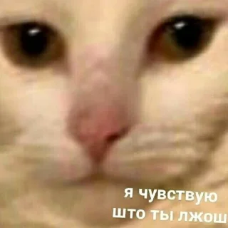 Sticker babyfleks - 6