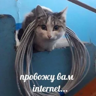 Sticker babyfleks - 7