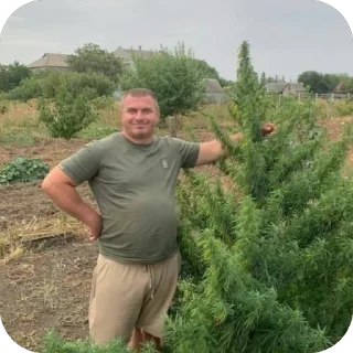 Стикер eboshi - 4