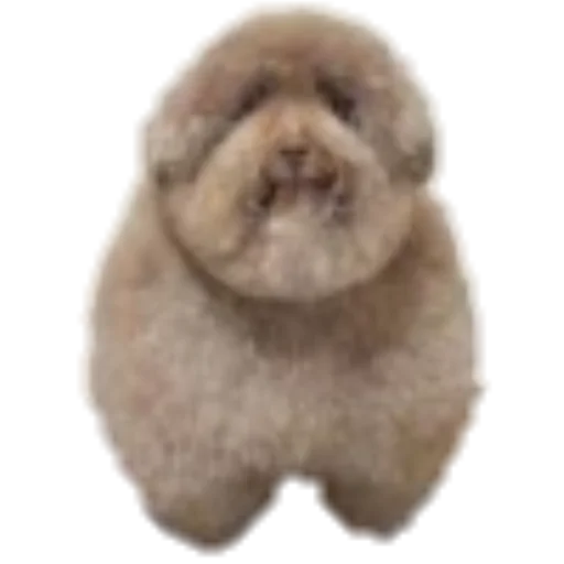 EBUCHI 5678 (для бомжей) - 