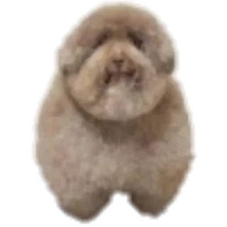 Стикер EBUCHI 5678 (для бомжей) - 1