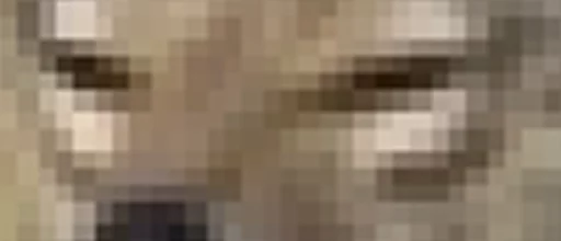 screenshot pattern beige