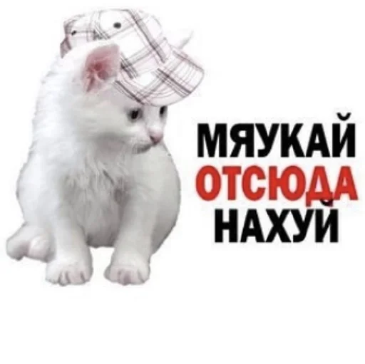 Стикер ebuchkaaa_by_fStikBot - 1