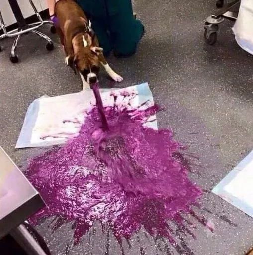 Стикер ebuchkaaa_by_fStikBot - 1