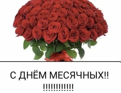 Стикер ꒰ఎ ебучка ໒꒱ :: @fStikBot - 4