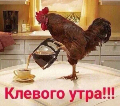 gallinaceous bird bird comb