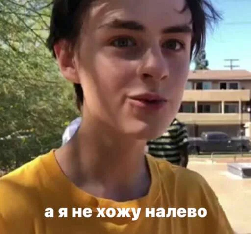 Человек человеческое лицо бровь