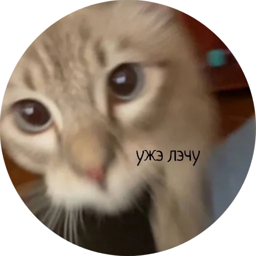 Стикер Джеки Чан - 11