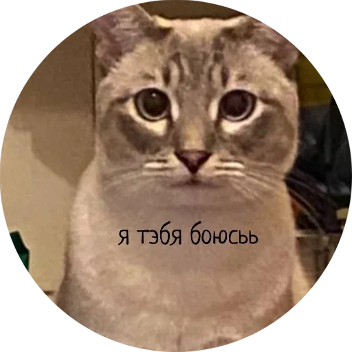 Стикер Джеки Чан - 10