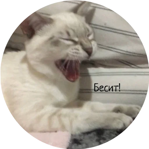 Стикер Джеки Чан - 7